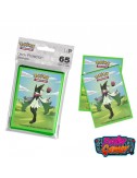 copy of POKEMON JCC - PACK...