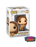 HARRY POTTER 3 POP & Buddy...