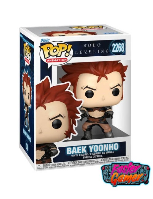 copy of SOLO LEVELING - POP...