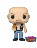 copy of WWE POP! Vinyl...