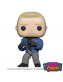 copy of WWE POP! Vinyl...