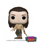 copy of WWE POP! Vinyl...