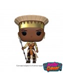 copy of WWE POP! Vinyl...
