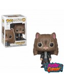 Harry Potter POP! Movies...