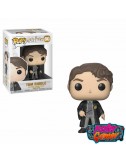 copy of WWE POP! Vinyl...