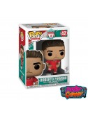 copy of WWE POP! Vinyl...