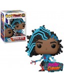 copy of WWE POP! Vinyl...
