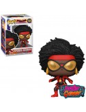 copy of WWE POP! Vinyl...