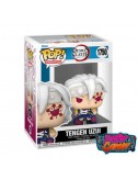 Demon Slayer POP! Animation...
